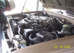 4Runner's V6