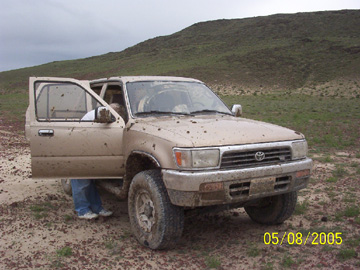 Muddy