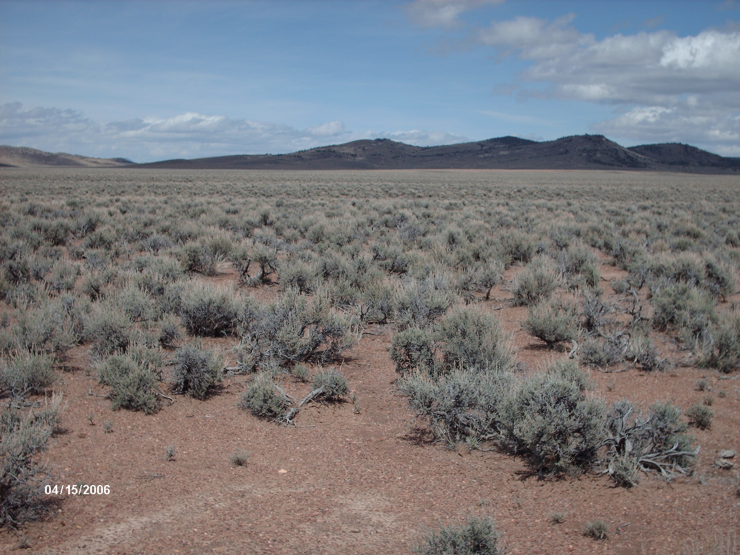 Center of Nevada
